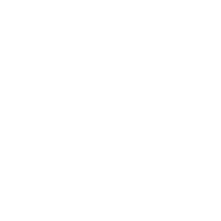 Logo Footer